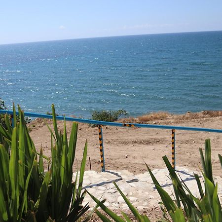 Summer Dream Cyprus Maroni Eksteriør billede