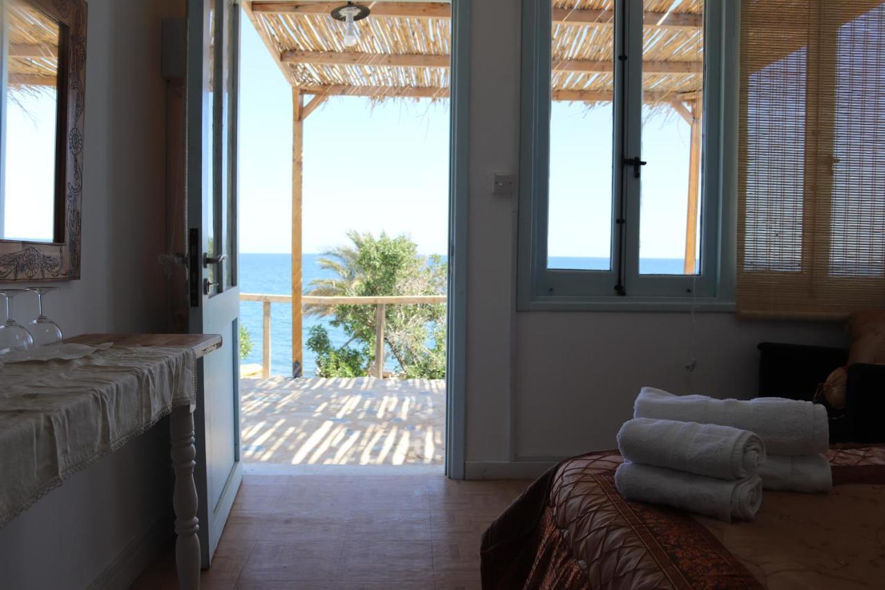 Summer Dream Cyprus Maroni Eksteriør billede